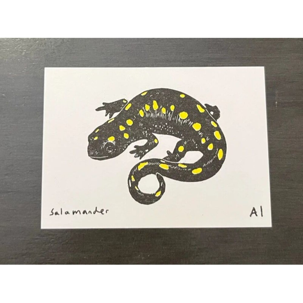 Ana Inciardi Mini Print - Salamander